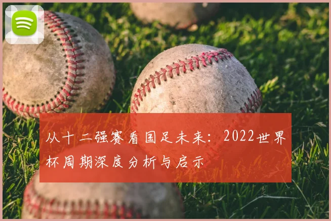 从十二强赛看国足未来：2022世界杯周期深度分析与启示