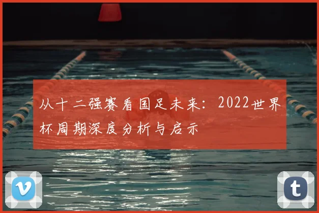 从十二强赛看国足未来：2022世界杯周期深度分析与启示